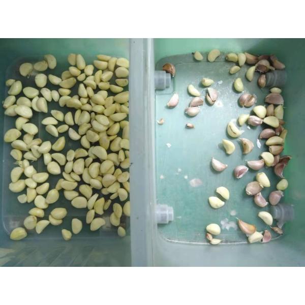 Brown Green Glass Optical Color Sorter for Ceramic Stone Impurity Removal