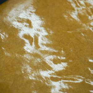 Quality 0.3mm Tyvek Waterproof Paper Fabric With Recycled TPU Coated wholesale