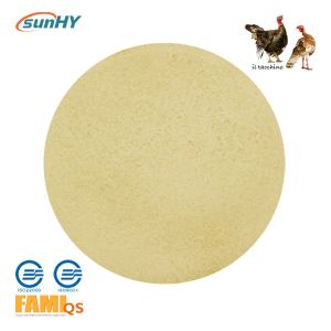 Quality Sunzyme 200g/T Compound Enzyme For Turkey Feed wholesale