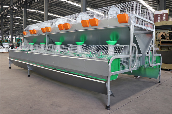 Stable Farm Rabbit Cage Automatic Drinking / Cleaning 25 Years Use Life