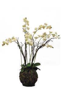 Quality Custom Color 117cm Artificial Orchids For Table Simulated From European Orchid wholesale
