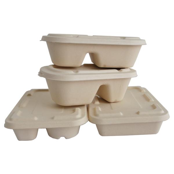 Bagasse Paper Container Biodegradable Paper Plate Disposable Pulp 11" X 8 Inch Bagasse 4-Compartment Tray