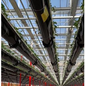 Quality Double Layer Agricultural Intelligent Sunlight Greenhouse with Insect Proof Net wholesale