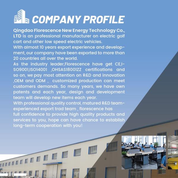 Blue 6 Seater Golf Cart wheelbase 2420mm charging time 6-8 hours Ground clearance 120mm