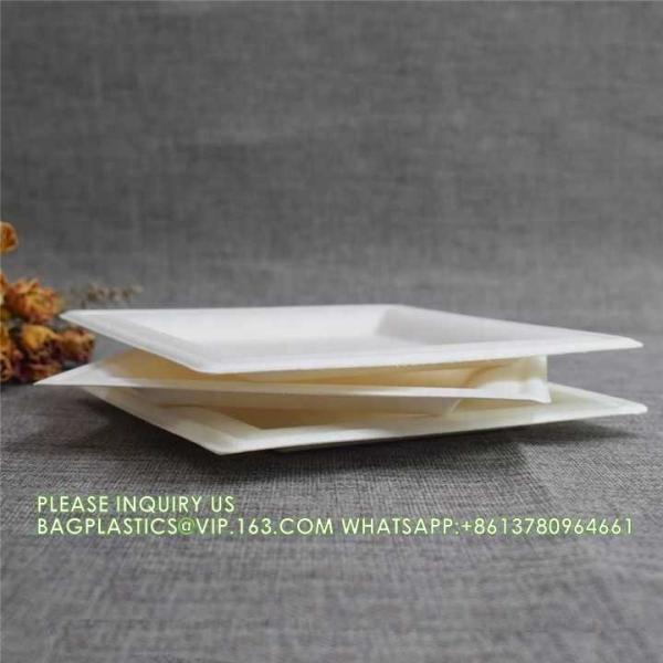 Eco-Friendly Wholesale Bio Disposable Sugarcane Food Container Snack Cookie Fruit Rectangular Plates
