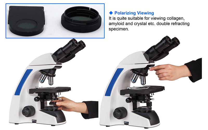 infinity Plan Achromatice Compound Optical Microscope 3W LED A12.1502 Backward Quadruple Nosepiece