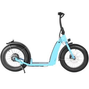 China 350 Watt 20 Inch Electric Scooter Adult Big Wheel Front And Rear 48v 14Ah on sale