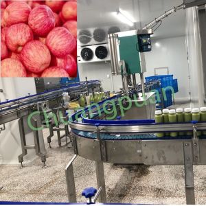 Quality Fully Automated Apple Juice Processing Line 380V 50Hz wholesale