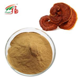 Quality 30% Polysaccharides Mushroom Extract Powder Reishi / Ganoderma Lucidum Extract wholesale