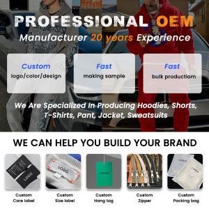 Custom Manufacturer 3d Puff Printing Hoodie Pullover Cotton Fleece Heavyweight
