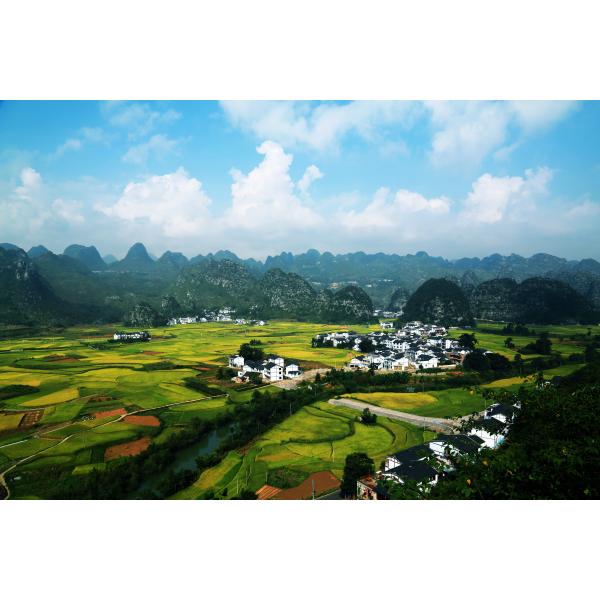 Biostimulants Deacetylation 95% Chitosan Oligosaccharide Organic Fertilizer For Apple Trees