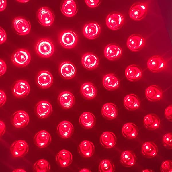 Dual Chip Half Body Red Light Therapy Pain Relief Built in Timer