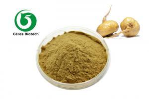 Quality Macamides Maca Root Extract Powder For Men