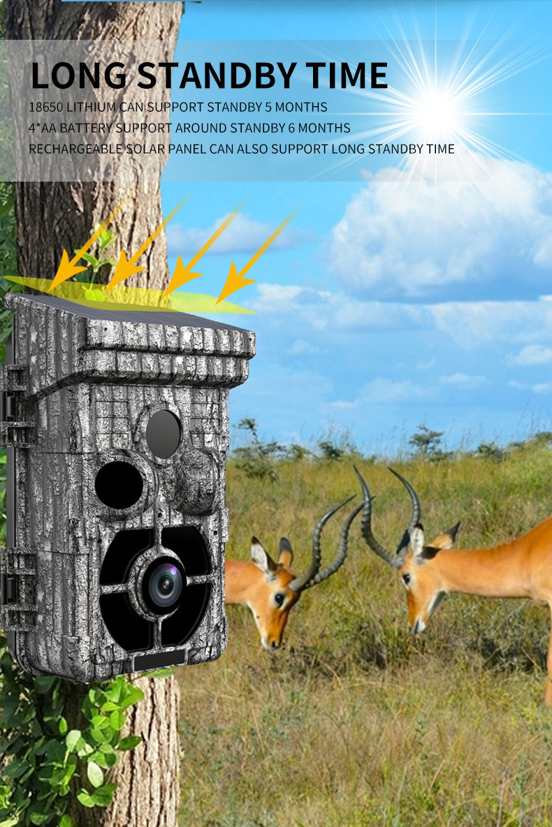 16pcs IR LED Hunting Trail Camera 32MP 60 Degree PIR Sending Angle Waterproof 4K / 10fps