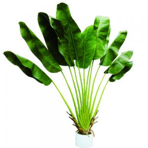 China 2m Fiber Glass Artificial Potted Plant Indoor Evergreen Decorative Banana Tree on sale