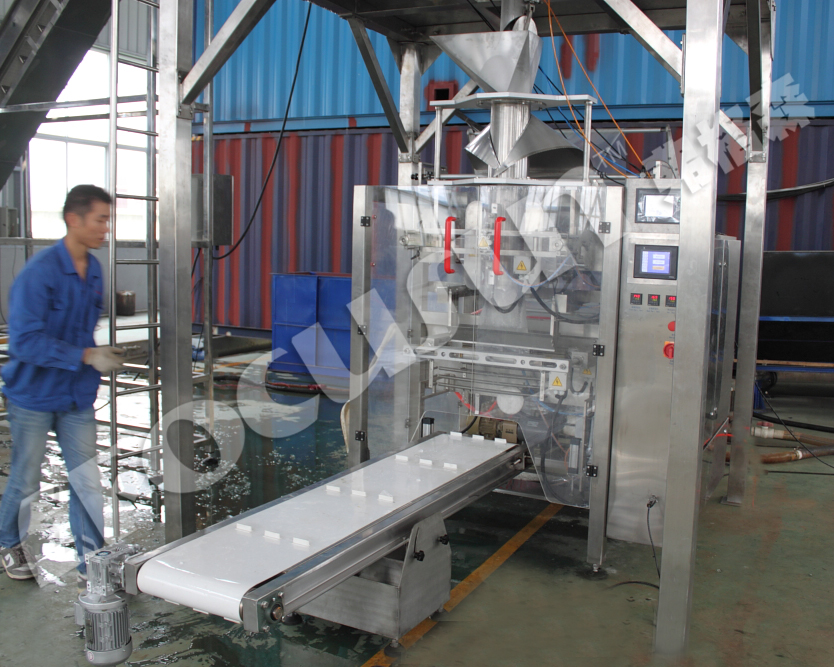 1kg 2kg 5kg Ice Tubes Automatic Packing Machine with Stable Operation and Performance