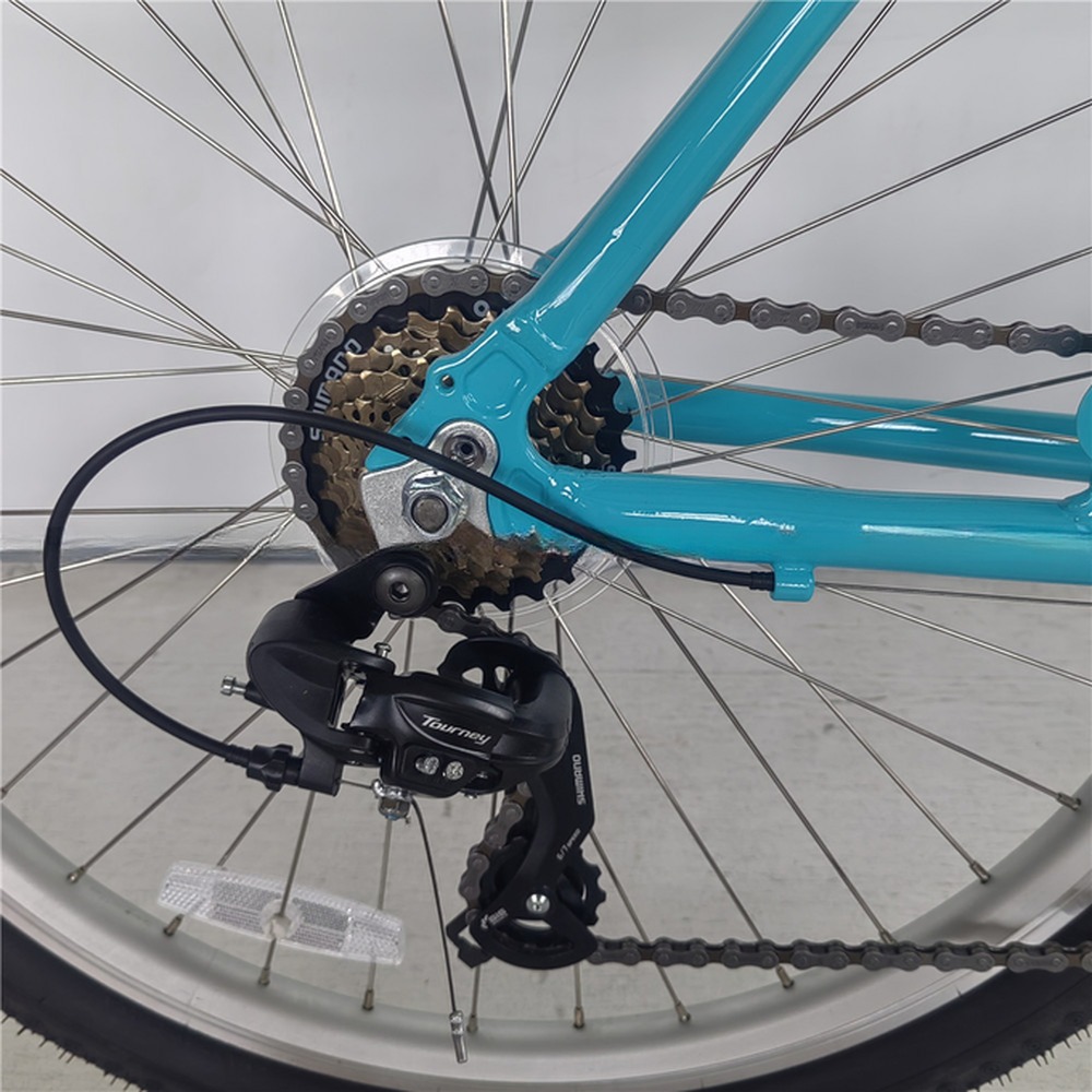 Aluminum Crank Lightweight Anti Rust Adult Unisex City Beach Cruiser Bike Bicycle 29 Inch
