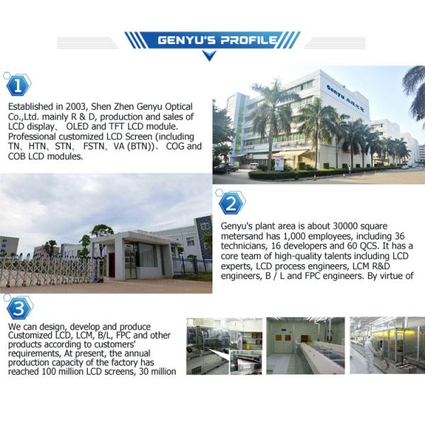 Control/Drive IC comptaible VA HTN Blue Green Backlight COB Segment LCD Module for Customized UPS Inverter Display Panel
