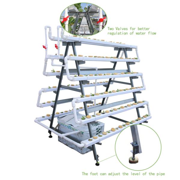Customized Indoor Vertical Soilless Hydroponic System For Cucumber