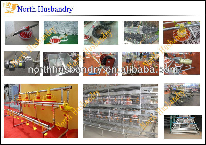 automatic poultry farm equipment for broiler chicken