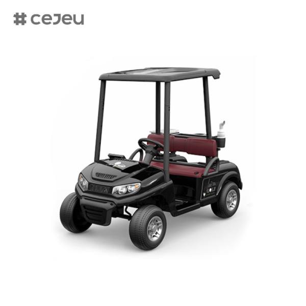 CJ-390(enough space for two seats), 12V10AH*1, #550*2, 2.4G, music, usb, mp3, golf cart with multiple color options