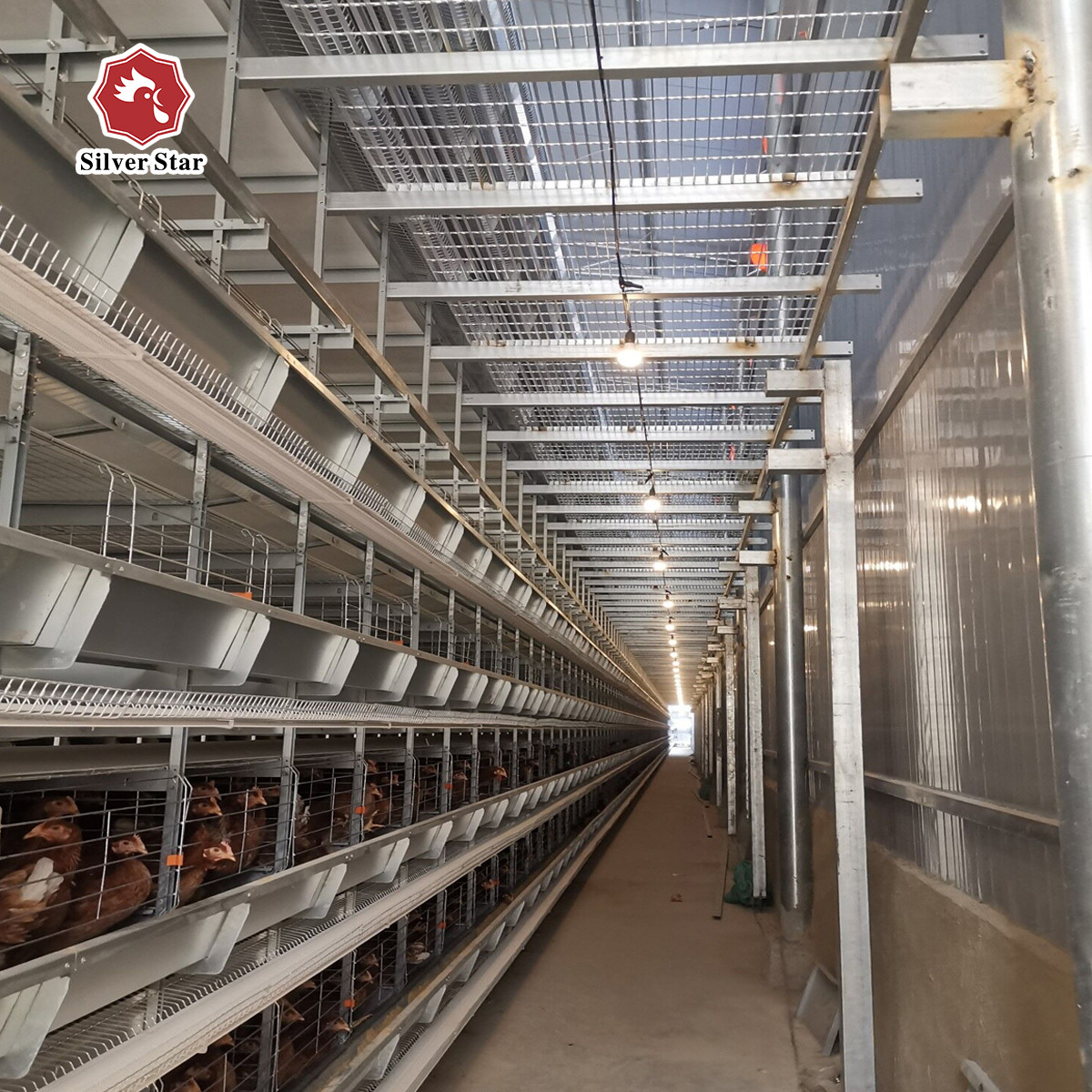 Hot Galvanized Layer Battery Chicken Cage For Farm 72 Birds / Set