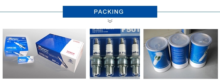 Prechamber Spark Plug R6GC1-77M Match For Hgm 560 Replaced For 18VGZ1-77 18VGZ9-77 18VGZ14-77