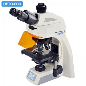 Quality OPTO EDU A16.1062 Infinity Binocular Trinocular Led Fluorescent Microscope BG wholesale