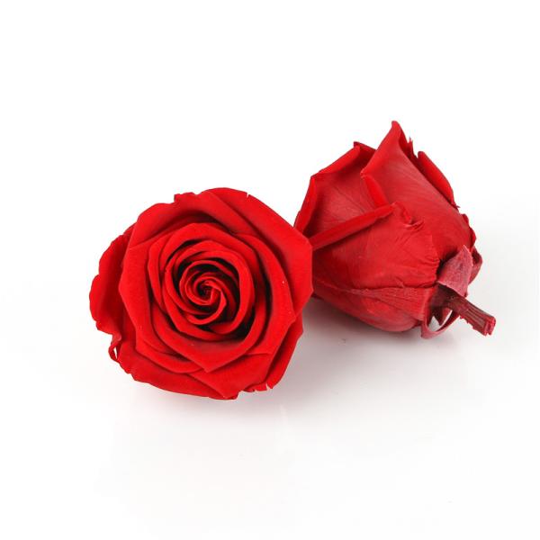 Customized Flower Decoration In Marriage , Preserved Gypsophila Wishing Bottle