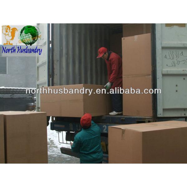 COOLING PAD & FAN ALIBABA -www.northhusbandry.cc-