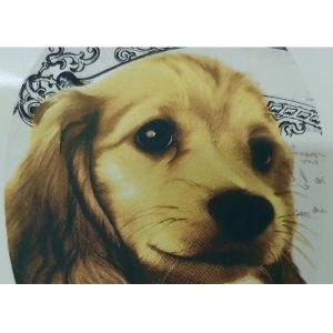 Quality 900x1000mm Computer To Screen Exposing Machine Textile 1270dpi wholesale