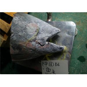 Quality Under 18 Degree Sea Fresh Yellow Fin Tuna Fish Head wholesale