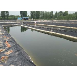 Quality Hdpe Swimming Pool Polyethylene Geomembrane Flexible Small Pond Liner wholesale