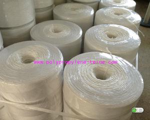 China Trellising Peppers And Tomatoes Twine 1200m/Kg 1000m/Kg Uv Stabilization 2% on sale