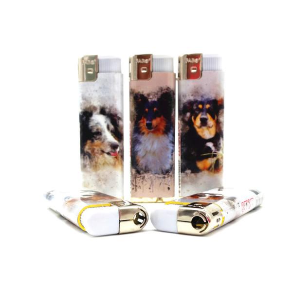 ISO9001 Certification Custom Cigarette Butane Gas Plastic Electric Disposable