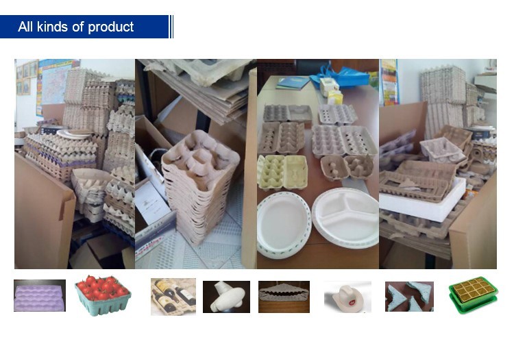 High Performance Paper Egg Tray Making Machine Computer Control Germany Valve