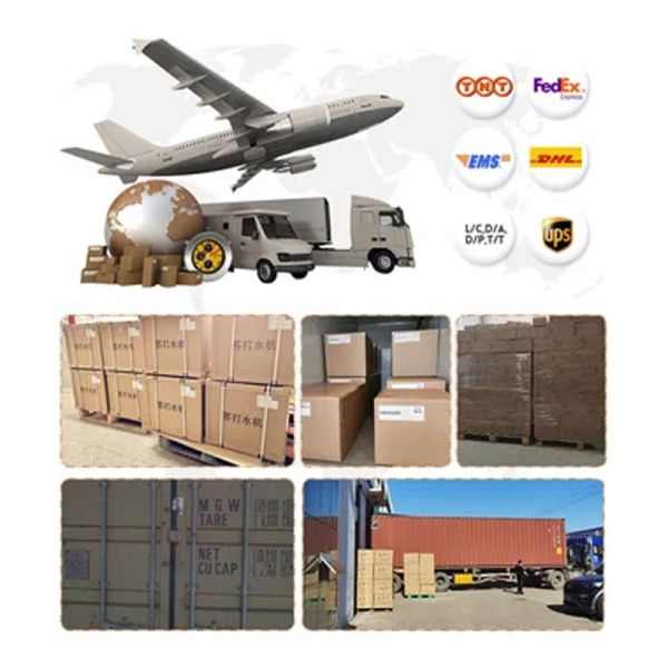 CR2016 3V 75mAh Lithium Manganese Dioxide Coin Battery Non-Rechargeable Button Cell for Car Remote Key Fob