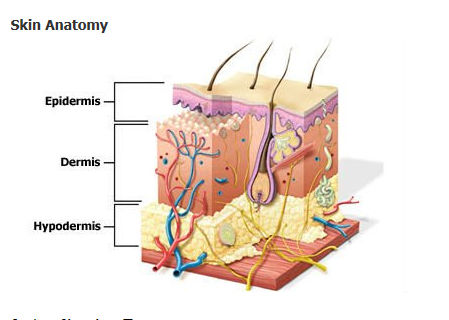 IPL hair removal,skin rejuvenation device,pigment removal equipment