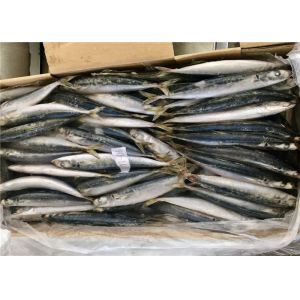 90g 100g Decapterus Muroaji Small Eye Frozen Whole Mackerel