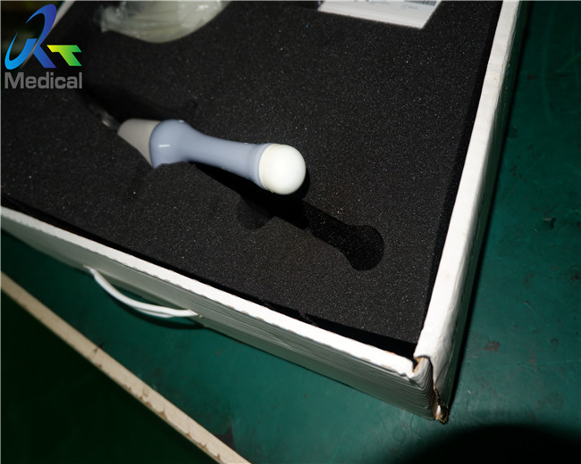 3D 4D Intra Cavity Voluson E8 Medical Ultrasound Transducer GE RIC6-12-D