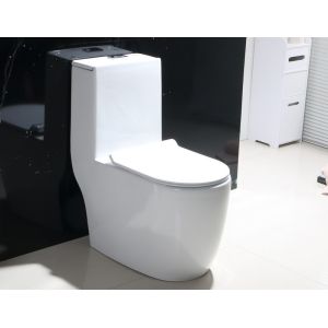 Quality Dual-Flush Single Piece Toilet with Scratch Resistant Glaze wholesale