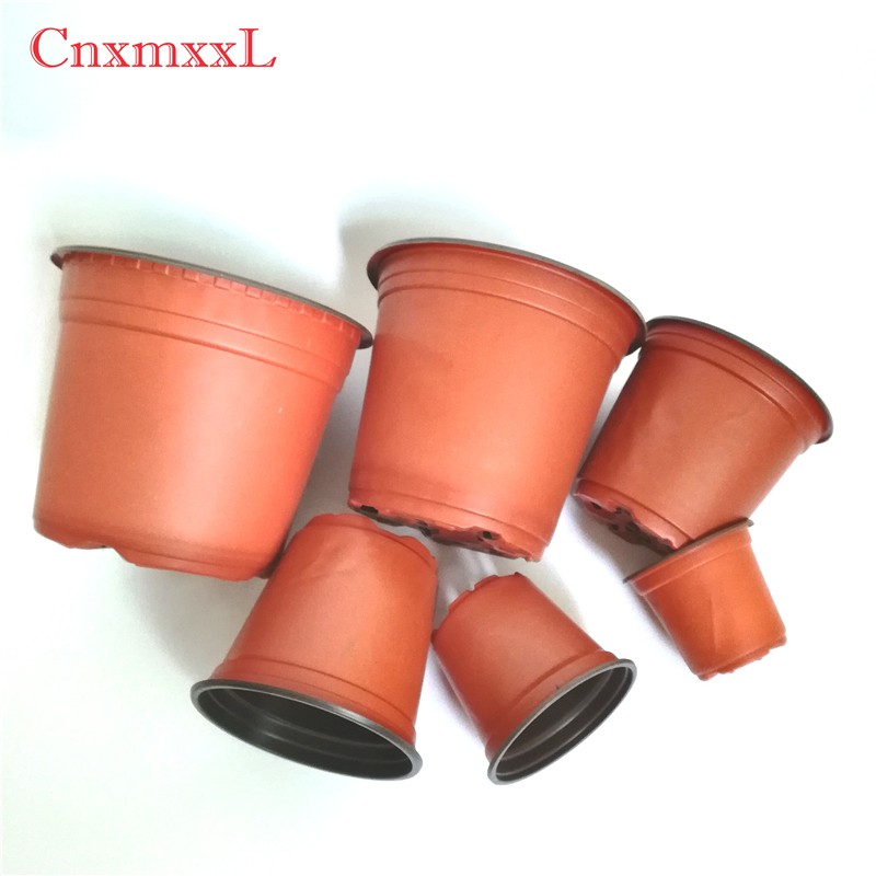 Greenhouse using bicolored small plastic flower nursery pots for seeds