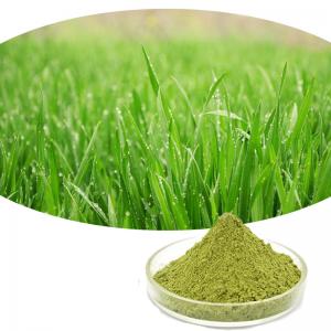 Quality Organic Herbal Extract Barley Grass Juice Powder 1kg/ Bag wholesale