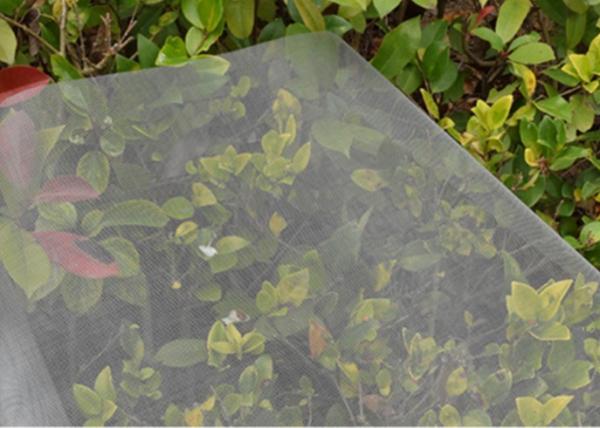 Cheap 18x14 Weave 13" Fiberglass Window Screen Rolls Anti Mosquito for sale