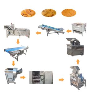 Quality Kiwi Ginger Powder Machine Processing Dezhou wholesale
