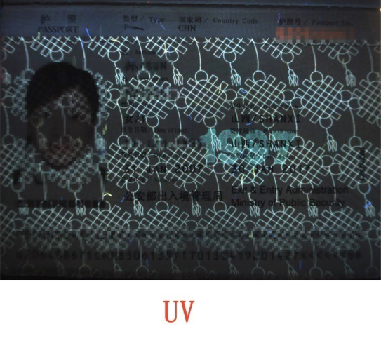 Waterproof and Customized Mexican INE and IFE ID Reader and Card Scanner for Scanning