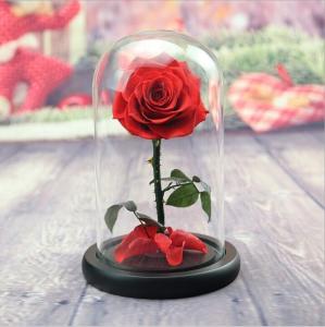 Quality beauty and the beast roses preserved roses in glass dome rose for lover