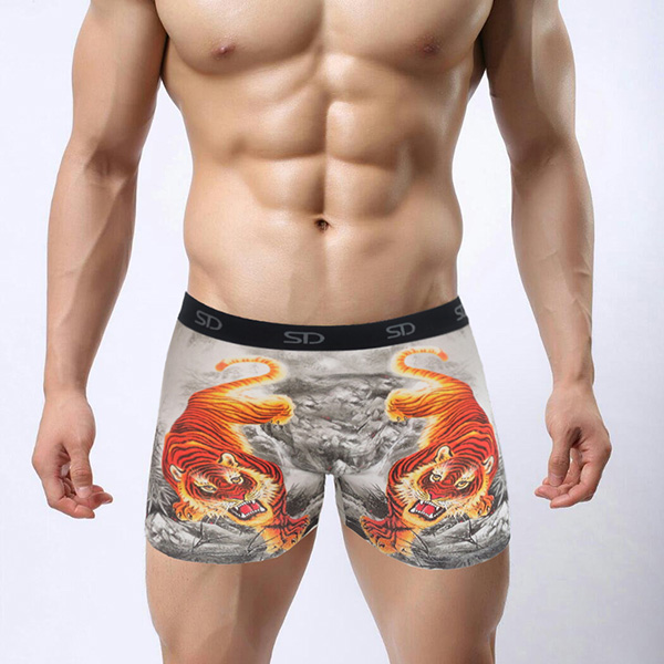 Top quality cotton printed boxers Modal comfortable underwear men 4 colors boxer men fit m