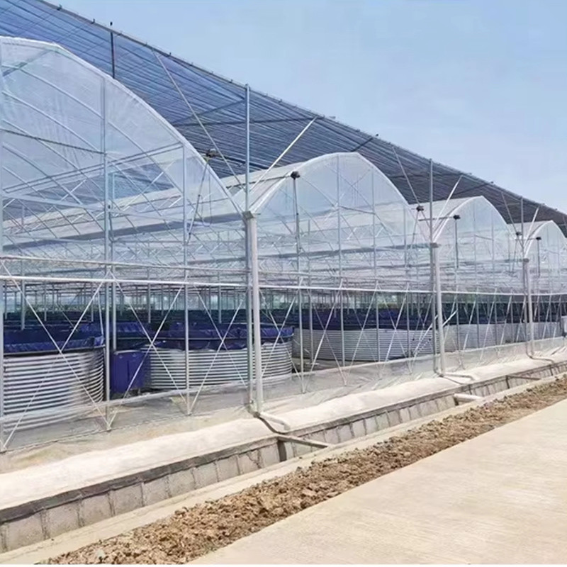 Quality Low Maintenance Poly Tunnel Multi-Span Greenhouse Durable Steel Components wholesale