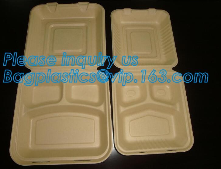 Disposable Plastic food delivery box Printing Sushi Tray For Food Packaging,HIPS Material Disposable Black Plastic Food